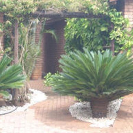 Cycas Guest House Malalane Exterior photo