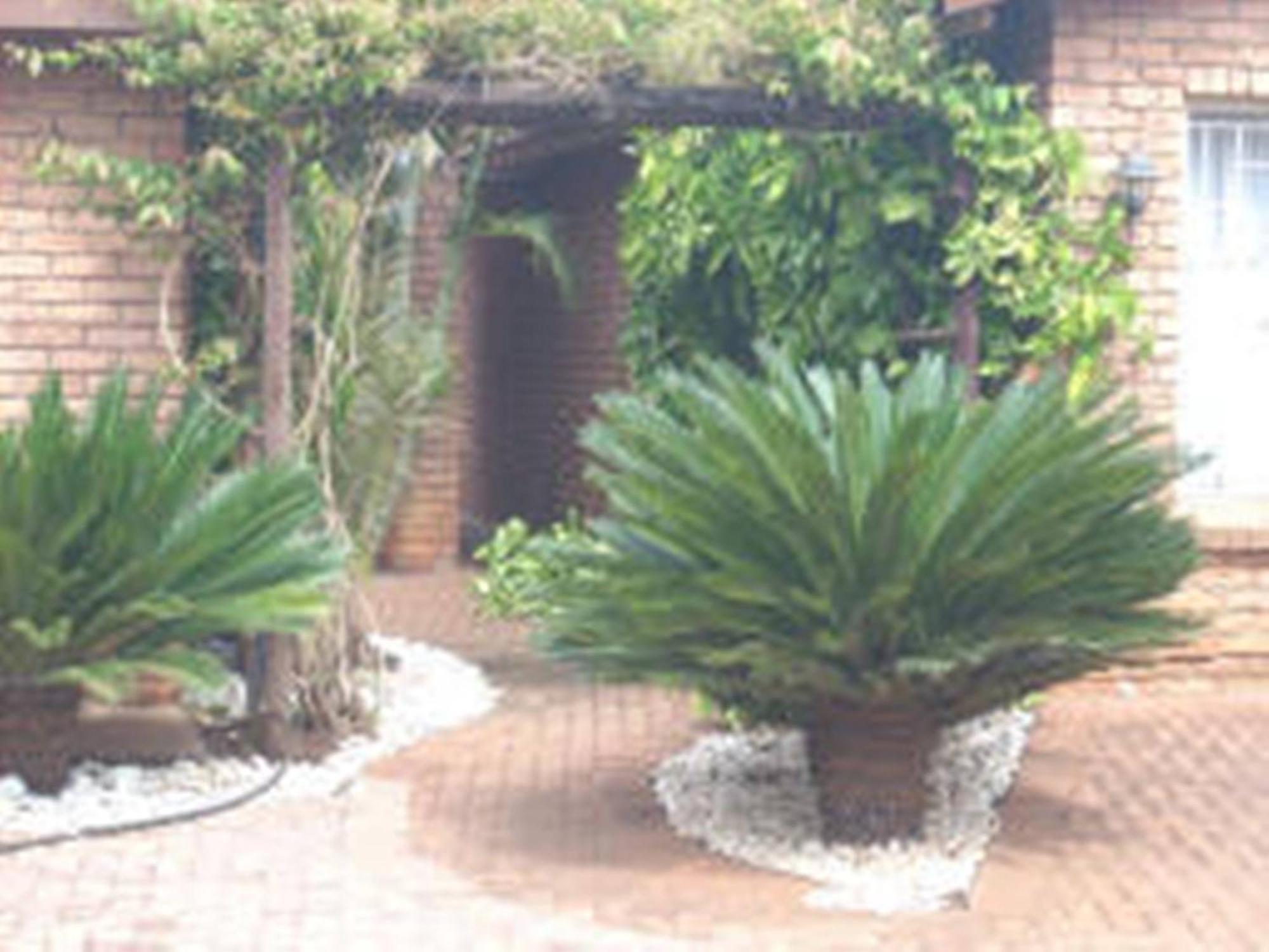 Cycas Guest House Malalane Exterior photo